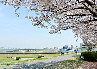 大阪の淀川河川公園